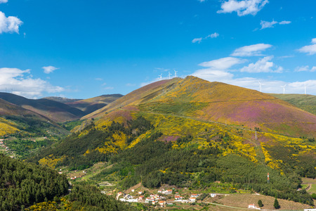 Landscape of the Douro river regionin Portugal -  Vineyardsの写真素材