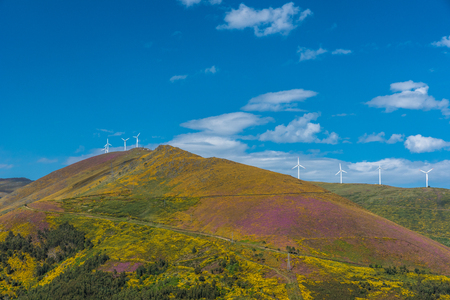 Landscape of the Douro river regionin Portugal -  Vineyardsの写真素材