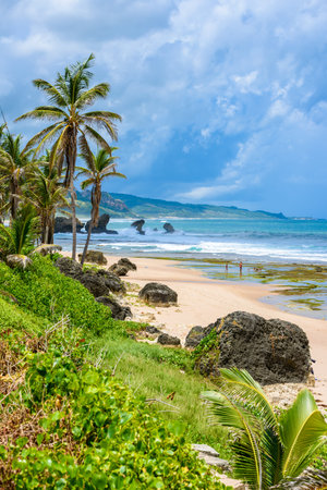Rock formation on the beach of Bathsheba, East coast of  island Barbados, Caribbean Islandsの写真素材