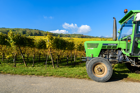 Vineyards of alsace - close to small village Hunawihr, Franceのeditorial素材