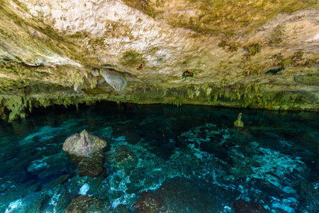 Cenote Dos Ojos in Quintana Roo, Mexico. People swimming and snorkeling in clear water. This cenote is located close to Tulum in Yucatan peninsula, Mexico.の写真素材