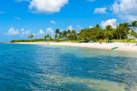 Sombrero Beach with palm trees on the Florida Keys, Marathon, Florida, USA. Tropical and paradise destination for vacation.のeditorial素材