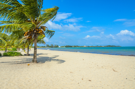 Paradise beach in Placencia, tropical coast of Belize, Caribbean Sea, Central America.の写真素材