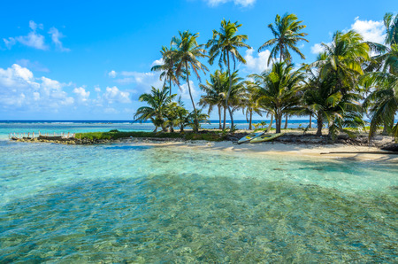 Paradise beach on island caye Carrie Bow Cay Field Station, Caribbean Sea, Belize. Tropical destination.の写真素材