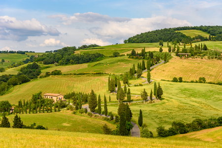 Cypress tree scenic winding road in Monticchiello - Valdorcia - near Siena, Tuscany, Italy, Europe.の写真素材