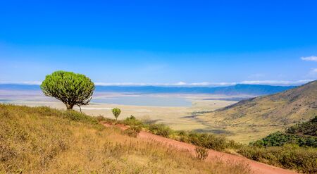Panorama of Ngorongoro crater National Park with the Lake Magadi. Safari Tours in Savannah of Africa. Beautiful landscape scenery in Tanzania, Africaの写真素材