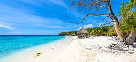 Cas Abao beach - paradise white sand Beach with blue sky and crystal clear blue water in Curacao, Netherlands Antilles, a Caribbean tropical Islandの写真素材
