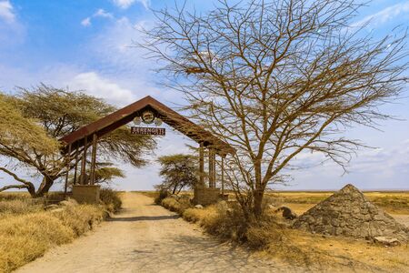 Game drive on dirt road with Safari car in Serengeti National Park in beautiful landscape scenery, Tanzania, Africaの写真素材