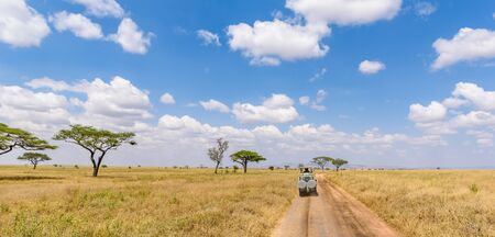 Safari tourists on game drive with  car in Serengeti National Park in beautiful landscape scenery, Tanzania, Africaの写真素材
