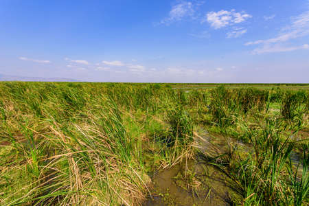 Panoramic view on Manyara Lake from Viewpoint. Beautiful landscape scenery of Lake Manyara National Park, Tanzania - Travel destination for wildlife Safari in Africaの写真素材