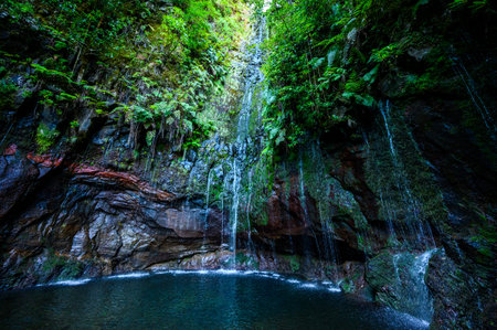 25 Fontes Waterfall - Hiking Levada trail in Laurel forest at Rabacal - Path to the famous...