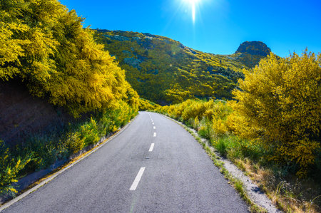 Hiker in Madeira Island - View Point of mountain scenery of the highland - tabove the clouds - ravel destination for outdoor sports - Portugalの写真素材