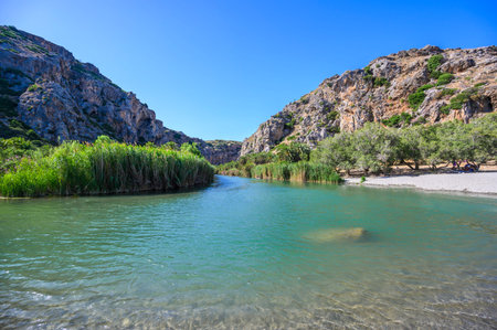 Preveli Beach - famous for the beautiful river with azure clear water and tropical palm forest behind the beach - in southern Crete island, Greece, Europe.の写真素材