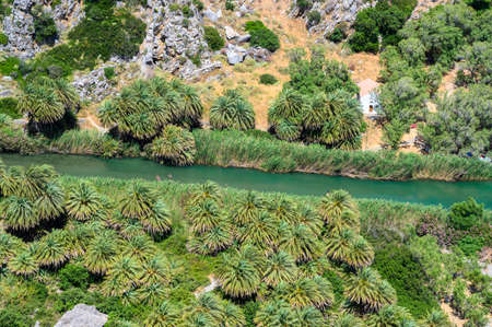 Preveli Beach - famous for the beautiful river with azure clear water and tropical palm forest behind the beach - in southern Crete island, Greece, Europe.の写真素材