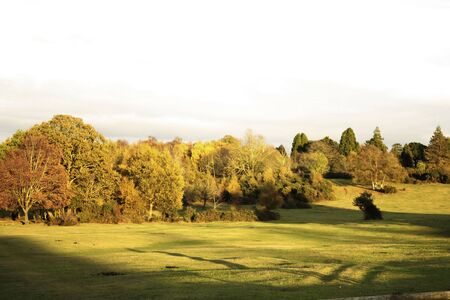 Scenic English Landscape of The New Forest National Park, Hampshireの写真素材