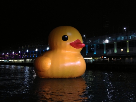 Giant inflatable duck in Hong Kong harbourの素材