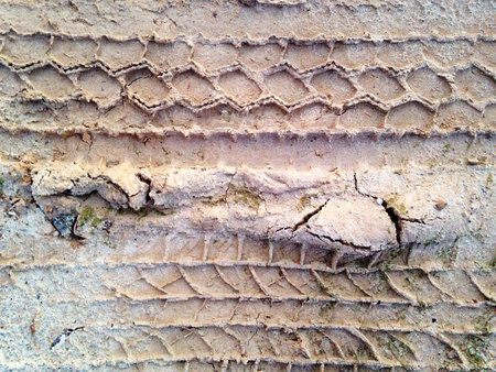 Tyre Tracks on Muddy Sand Texture