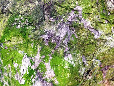 Moss on Stone Grunge Textureの素材
