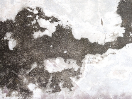 Worn Concrete Grunge Textureの素材