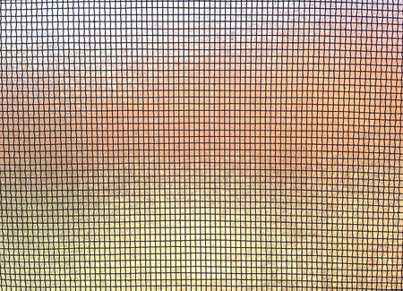 Meshed Netting Background Texture