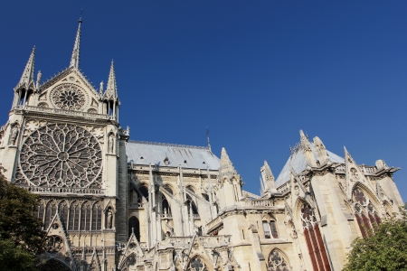 Notre-Dame Cathedral in Paris, Franceの写真素材