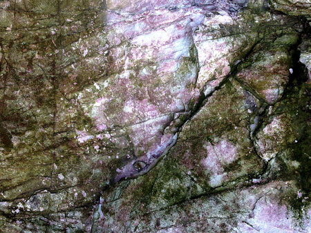 Moss on Stone Rock Texture Background