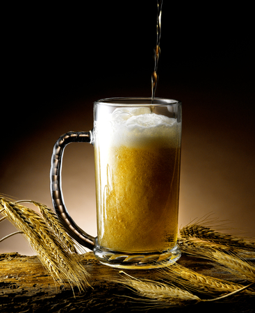 Mug of beerの写真素材