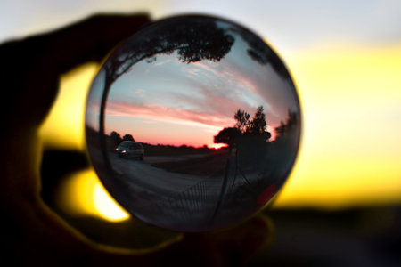 Splendid photos through lensball, the world seen from another perspective