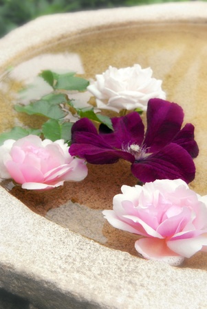 floating flowersの写真素材