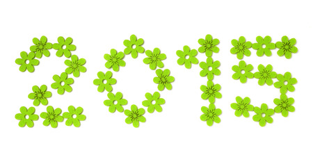 2015 green flower isolated on white backgroundの写真素材