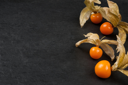 fresh phycalis over dark slate backgroundの写真素材