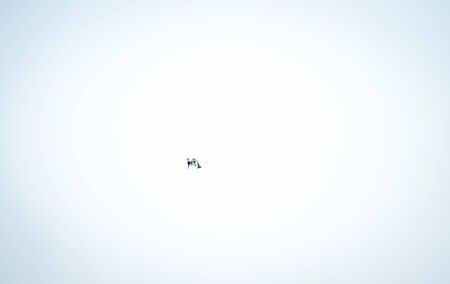 Flying Pied kingfisher in the Kruger National Park, South Africa.の写真素材