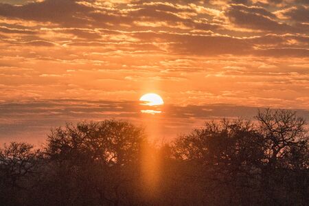 African sunset in the Kruger National Park, South Africa.の写真素材