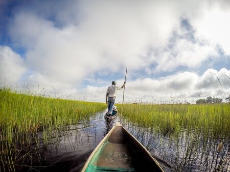 Mokoro canoe trip on the Okavango delta, Botswana.の写真素材