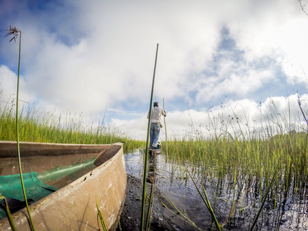 Mokoro canoe trip on the Okavango delta, Botswana.