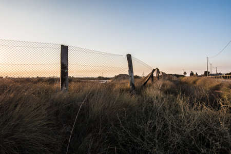 wild landscape on sunriseの写真素材