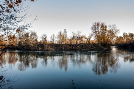 Reflections of trees on the river