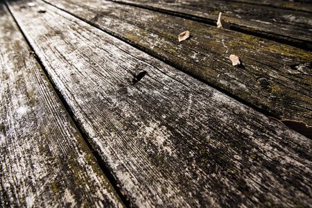 Wood grain drafting linesの写真素材