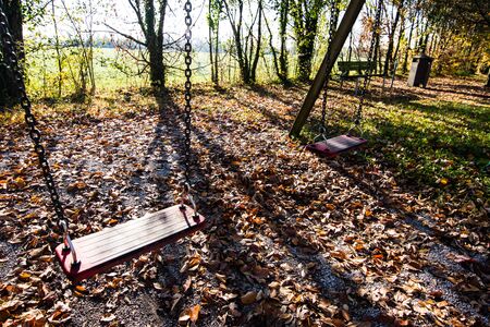Autumn view of the park with trees, foliage and swingの写真素材