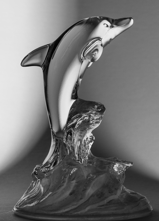 Dolphin Glass Staute Jumping out of the water on a BW gradient backgroundの写真素材