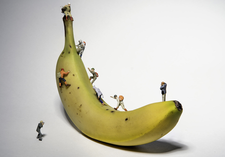 Miniature Photographers taking pictures of People Climbing A Bananaの写真素材