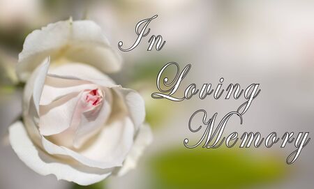 In Loving Memory Card - Designed for someone mourning the death of the loved oneの写真素材