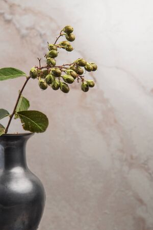Crepe Myrtle green flower buds beaded in pewter vase. Studio Shot. Marble Backgroundの写真素材