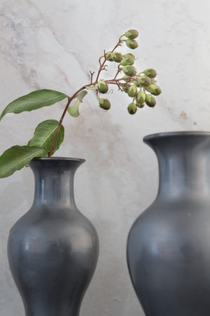 Crepe Myrtle green flower buds beaded in pewter vase. Studio Shot.の写真素材