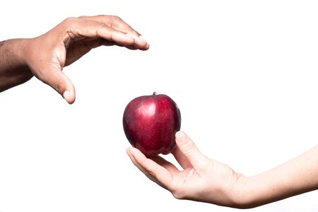 white hand gives red apple to African hand. Diversity or religious conceptの写真素材