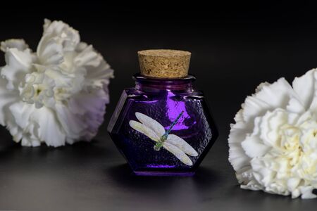 Vintage Purple Glass  Bottles with cork lid and dragonfly picture on grey background. Glass Container with white flowersの写真素材