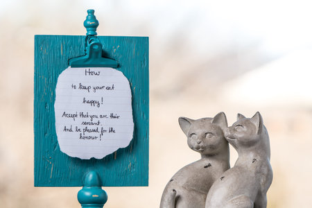 Two ceramic cats sit next to a memory board with a handwritten reminder about happy cats. For the...