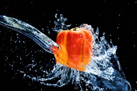 Fresh Variegated pepper gets splashed  with water on black background. Concept of summer, health and funの写真素材