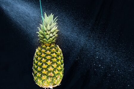Fresh pineapple gets sprayed with water on black background. Concept of summer, health and funの写真素材