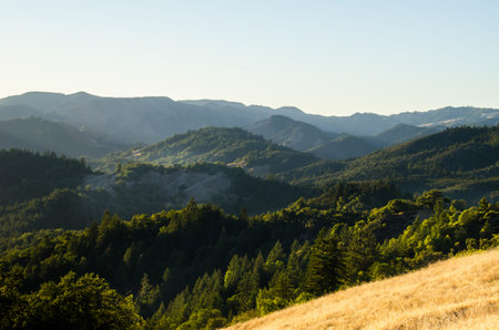 View of the hills, mountains, forest and valleys and many peaks of Armstrong Woods in California USA